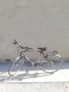 Location velos