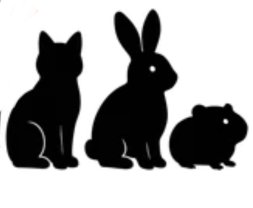 Service garde animaux