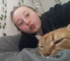 Service garde animaux
