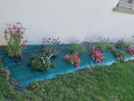 Service jardinage