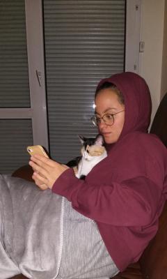 Service garde animaux