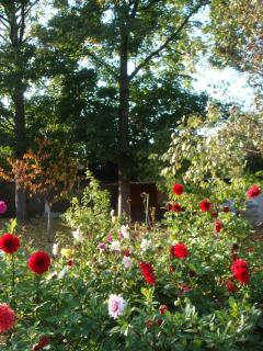 Service entretien jardin
