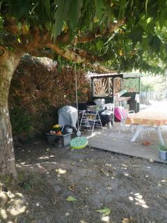Service taille de haies