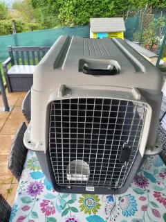 Location cage transport animaux