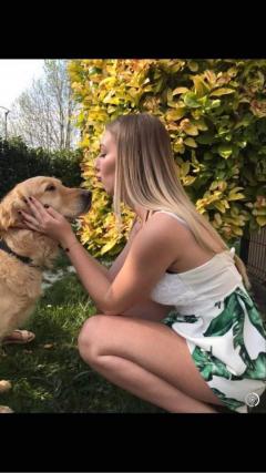 Service garde animaux