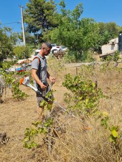 Service entretien jardin