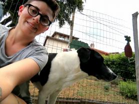Service garde animaux