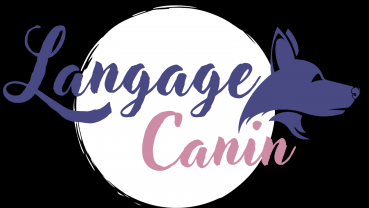 Service autres cours particuliers