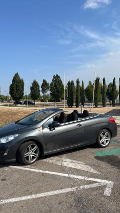 Location voitures