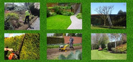 Service entretien espace vert