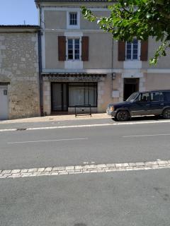 Service chien