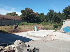 Location motoculteur