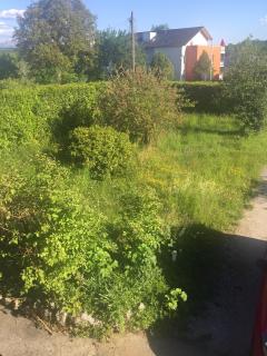Service entretien jardin