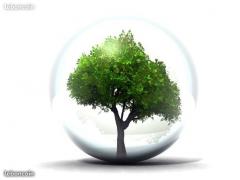Service entretien jardin