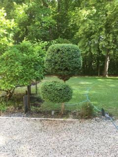 Service entretien espace vert