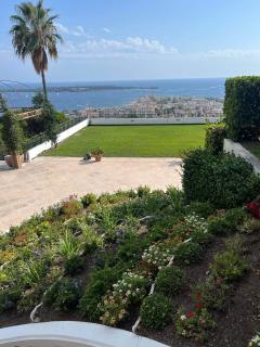 Service entretien jardin