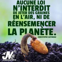 Location jardin potager
