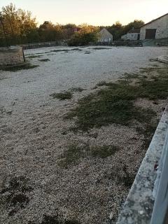Service jardinage