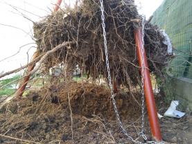 Service amenagement jardin