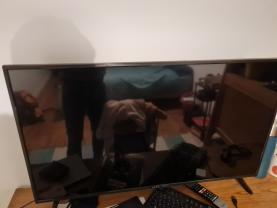 Location television