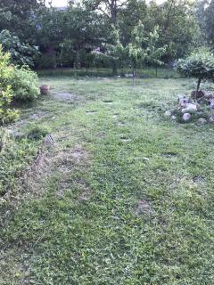 Service amenagement jardin
