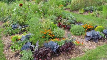 Location jardin potager