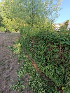 Service entretien jardin