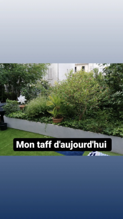 Service entretien espace vert