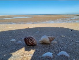 Location autre