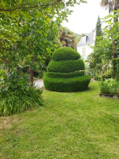 Service entretien jardin