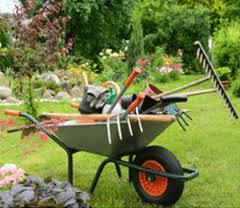 Service entretien espace vert