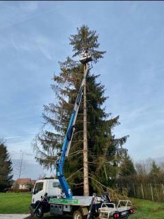 Service elagage