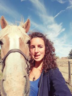 Service garde animaux