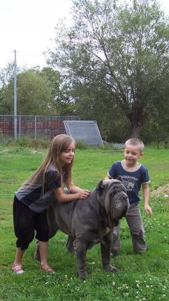 Service garde animaux