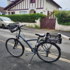Location velos
