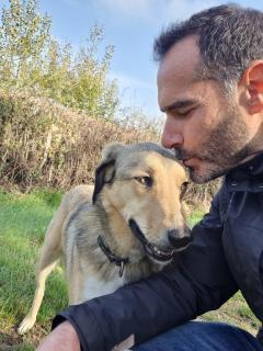 Service garde animaux