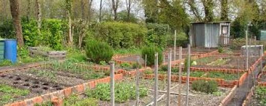 Location cherche jardin potager