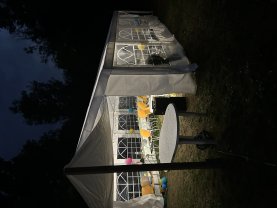 Location tente reception