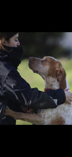 Service garde animaux