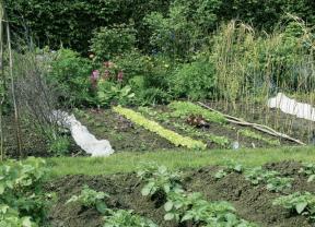 Location jardin potager