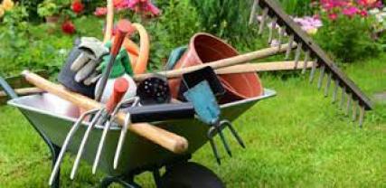 Service entretien jardin