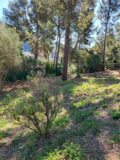 Location jardin