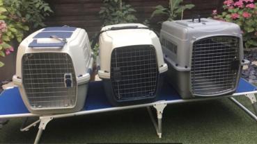 Location cage transport animaux