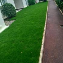 Service entretien jardin