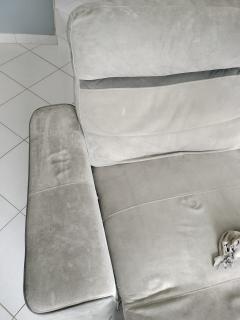 Location shampouineuse