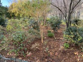 Service jardinage