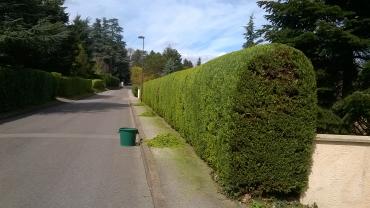 Service entretien espace vert