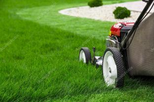 Service entretien espace vert