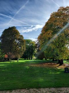 Location jardin potager