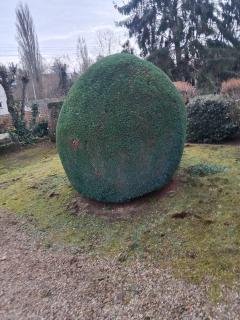 Service entretien espace vert